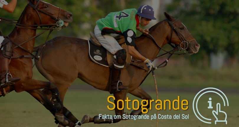 Sotogrande feriebolig i post nummer 11310