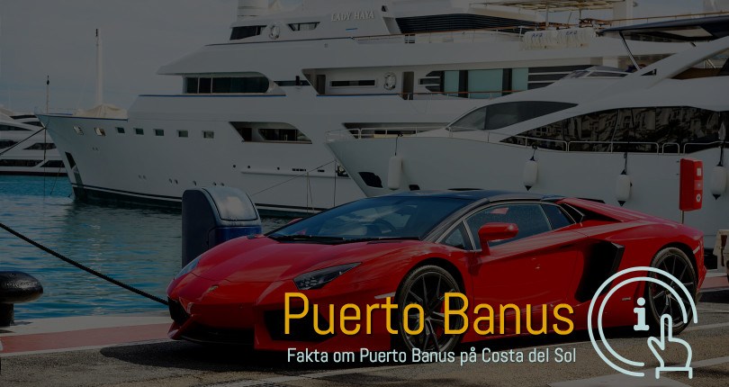 Puerto Banus ferie boliger i område 29603