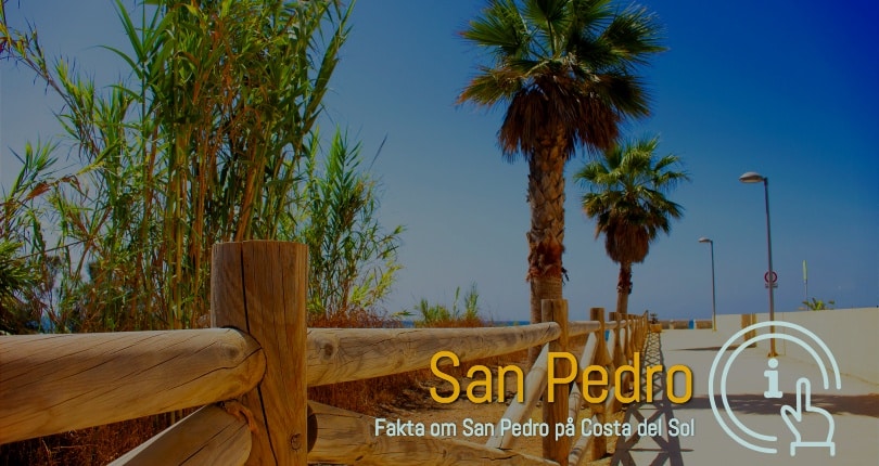 San Pedro ferie boliger i område 29670