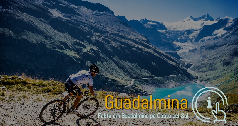 Guadalmina ferie boliger i område 29670