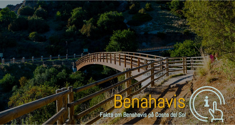 Benahavis ferie boliger i område 29679