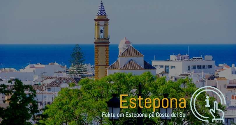 Estepona ferieboliger i område 29680